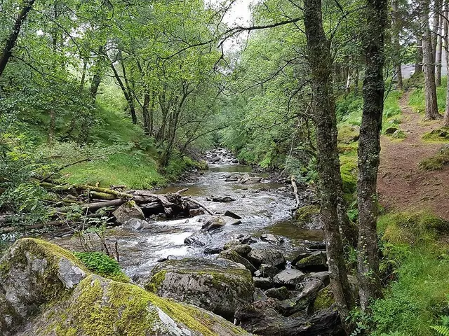 A woodland riverside trail in the glen