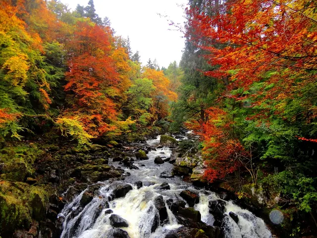 The River Braan at The Hermitage, near Dunkeld